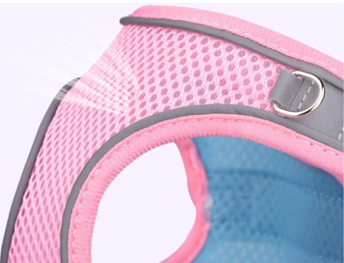 Breathable Mesh Dog Harness and Leash Set for Wholesale
