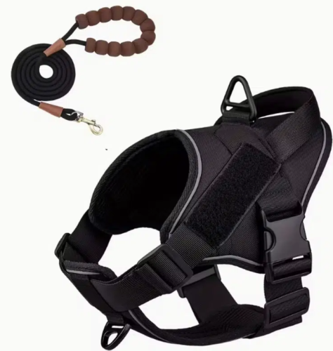 Breathable Mesh Dog Harness and Leash Set for Wholesale