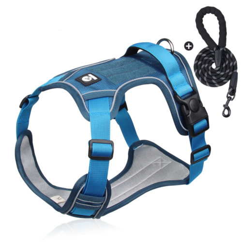 Breathable Mesh Dog Harness and Leash Set for Wholesale