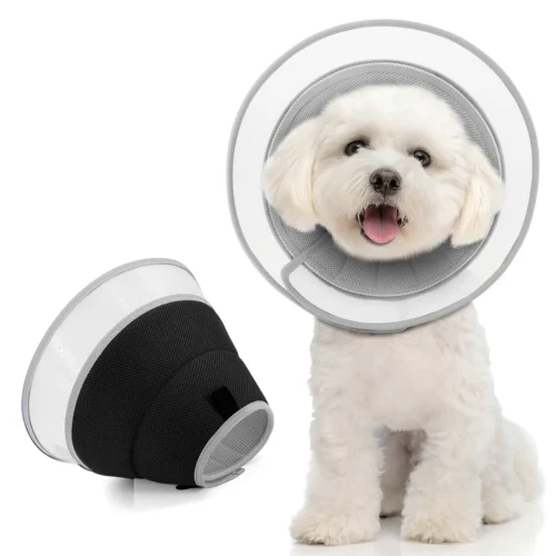 Cone For Dogs