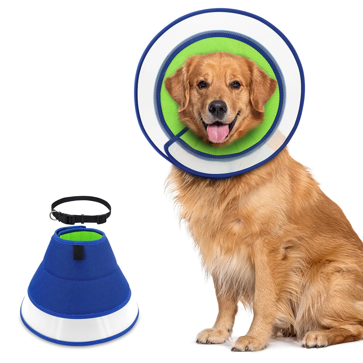 Cone For Dogs