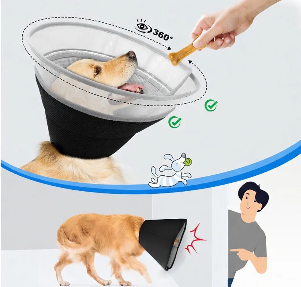 Cone For Dogs