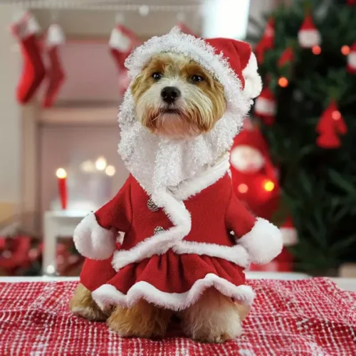 Custom Dog Dresses: OEM Pet Clothing Dog Santa Costume Wholesale Dog Clothing