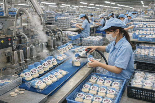 Custom Dog Socks with Knit Fabric and Elastic Cuff