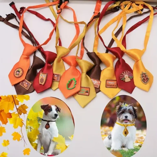 Custom Pastel Rainbow Dog Collar with Bow Tie – OEM Dog Bow Ties for Wholesal