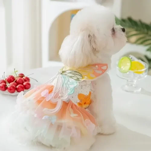 Custom Pink Butterfly Dog Wedding Dress - Wholesale OEM Rainbow Pet Princess Dress