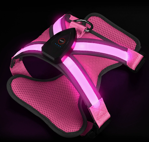 Custom lighted dog harness with LED Safety Design