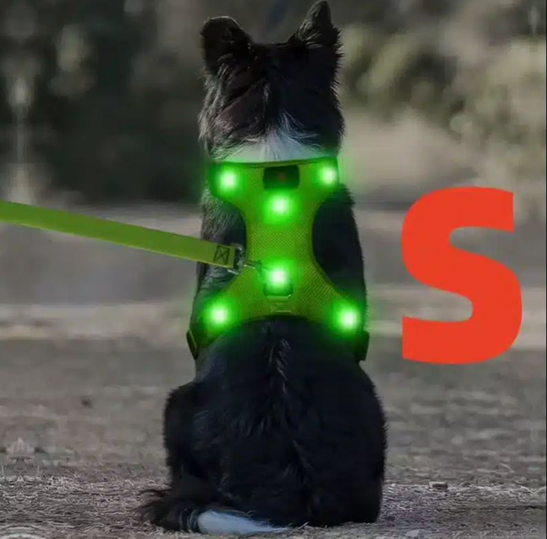 Custom lighted dog harness with LED Safety Design