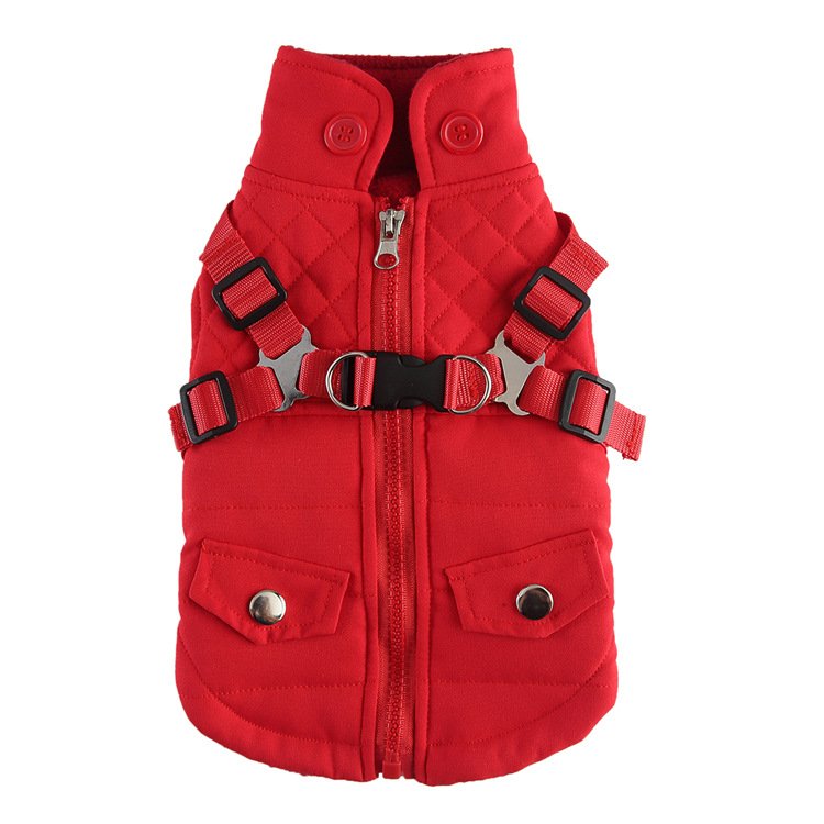 Dog Coats for Small Dogs
