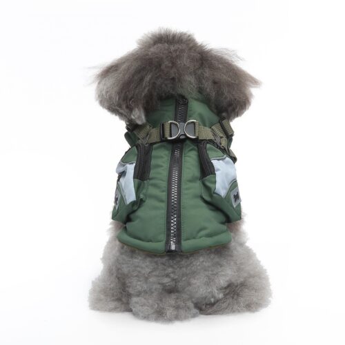Dog Coats for Small Dogs