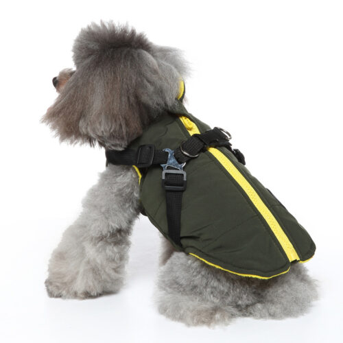 Dog Coats for Small Dogs