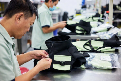 Dog Coats for Small Dogs