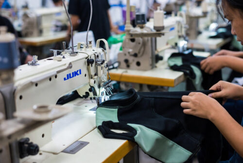 Dog Coats for Small Dogs