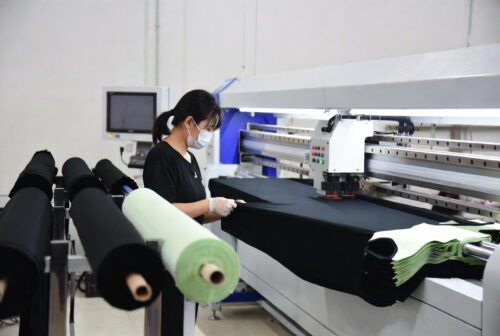 Dog Coats for Small Dogs