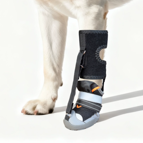 Dog Knuckling Brace