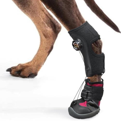 Dog Knuckling Brace