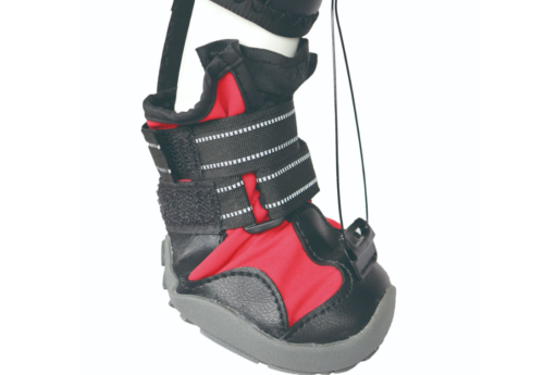 Dog Knuckling Brace