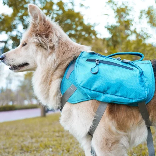 Dog Saddle Bags