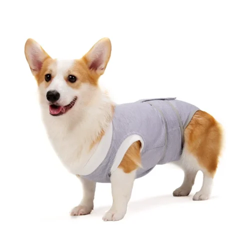 Dog Spay Suit