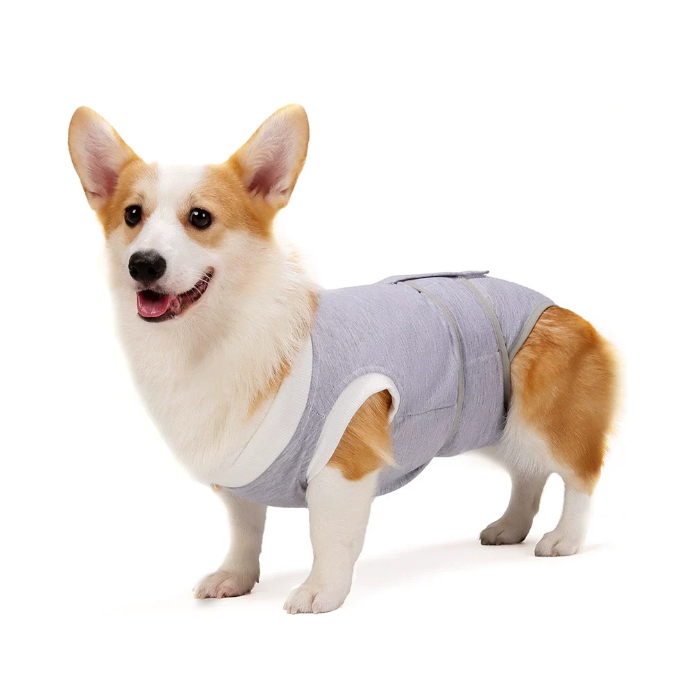 Dog Spay Suit