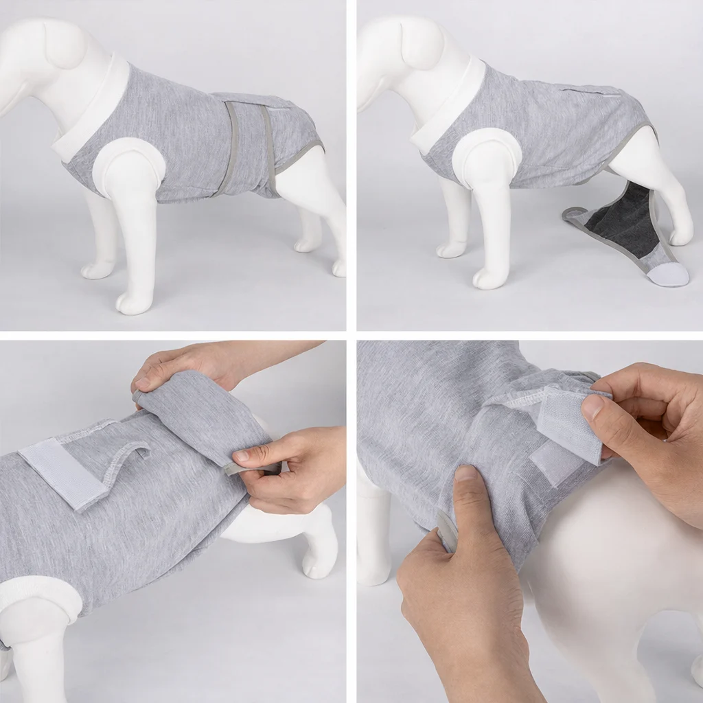 Dog Spay Suit