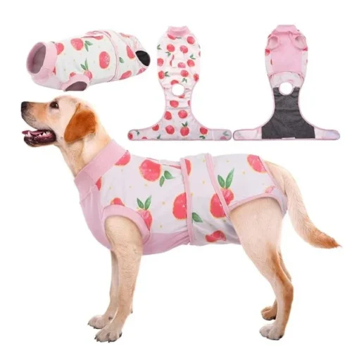 Dog Surgery Recovery Suit