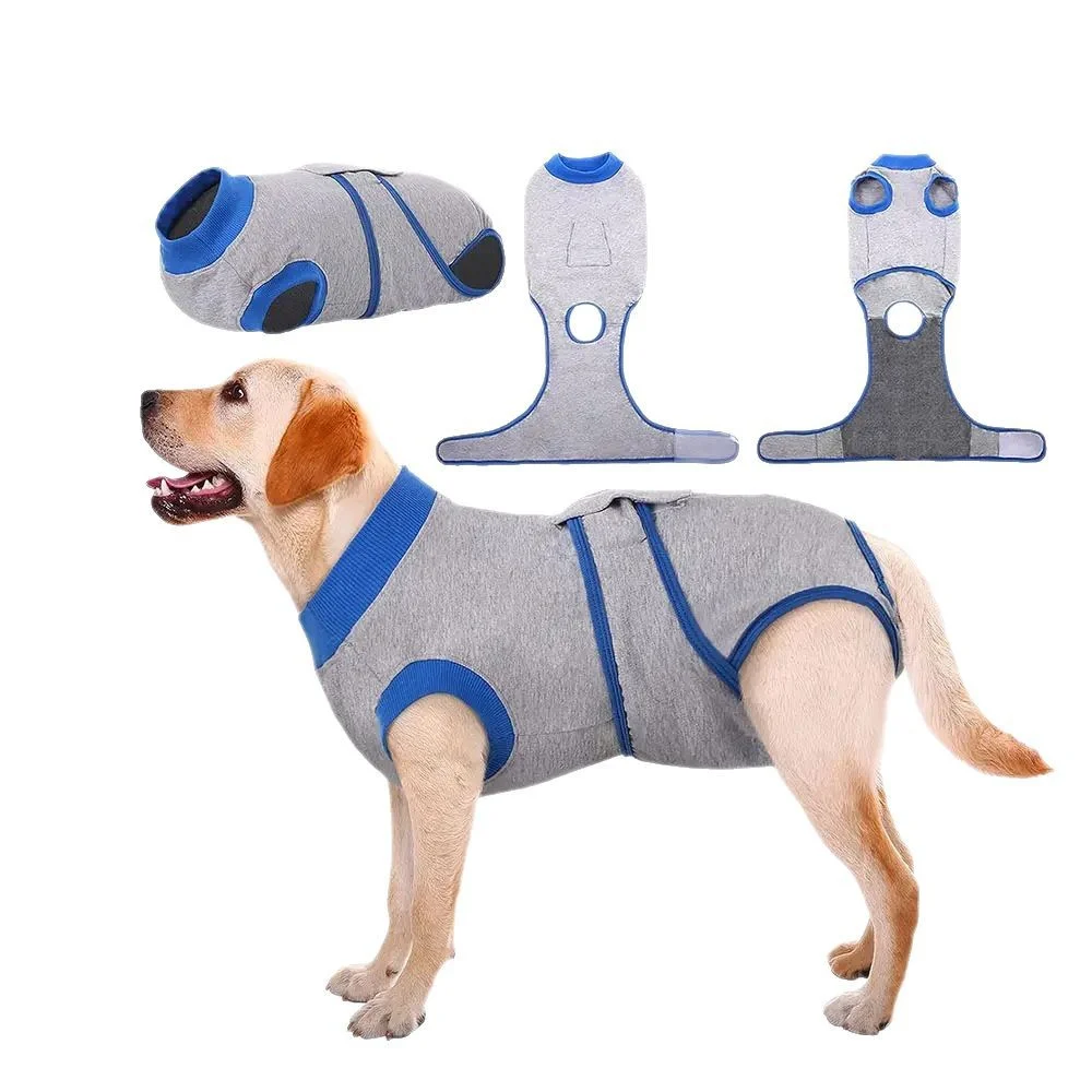 Dog Surgery Suit