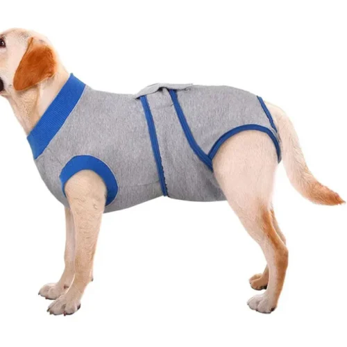 Dog Surgery Suit