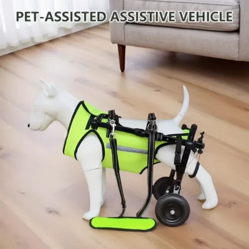 Green Lightweight Dog Wheelchair for Small Dogs Hind Legs - Wholesale Dog Wheelchair OEM/ODM