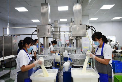 High-Top Dog Rain Boots for Wholesale