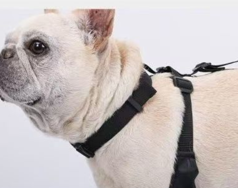 High-Top Waterproof Dog Boots for Wholesale