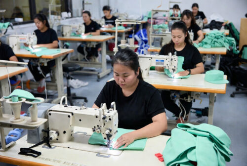 Ice Vest for Dogs with Removable Ice Packs for B2B Buyers 