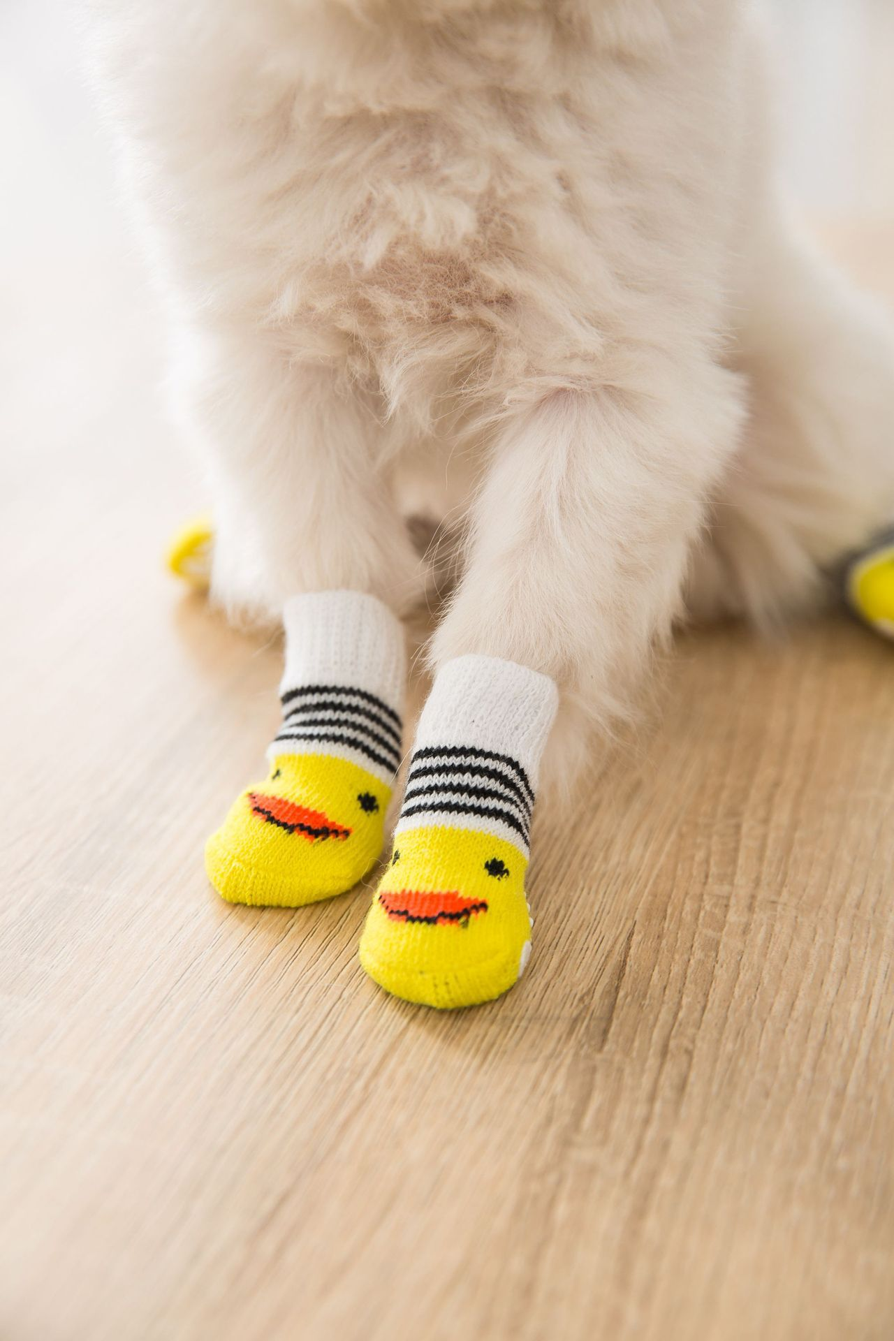 Knit Dog Socks with Grips for Wholesale