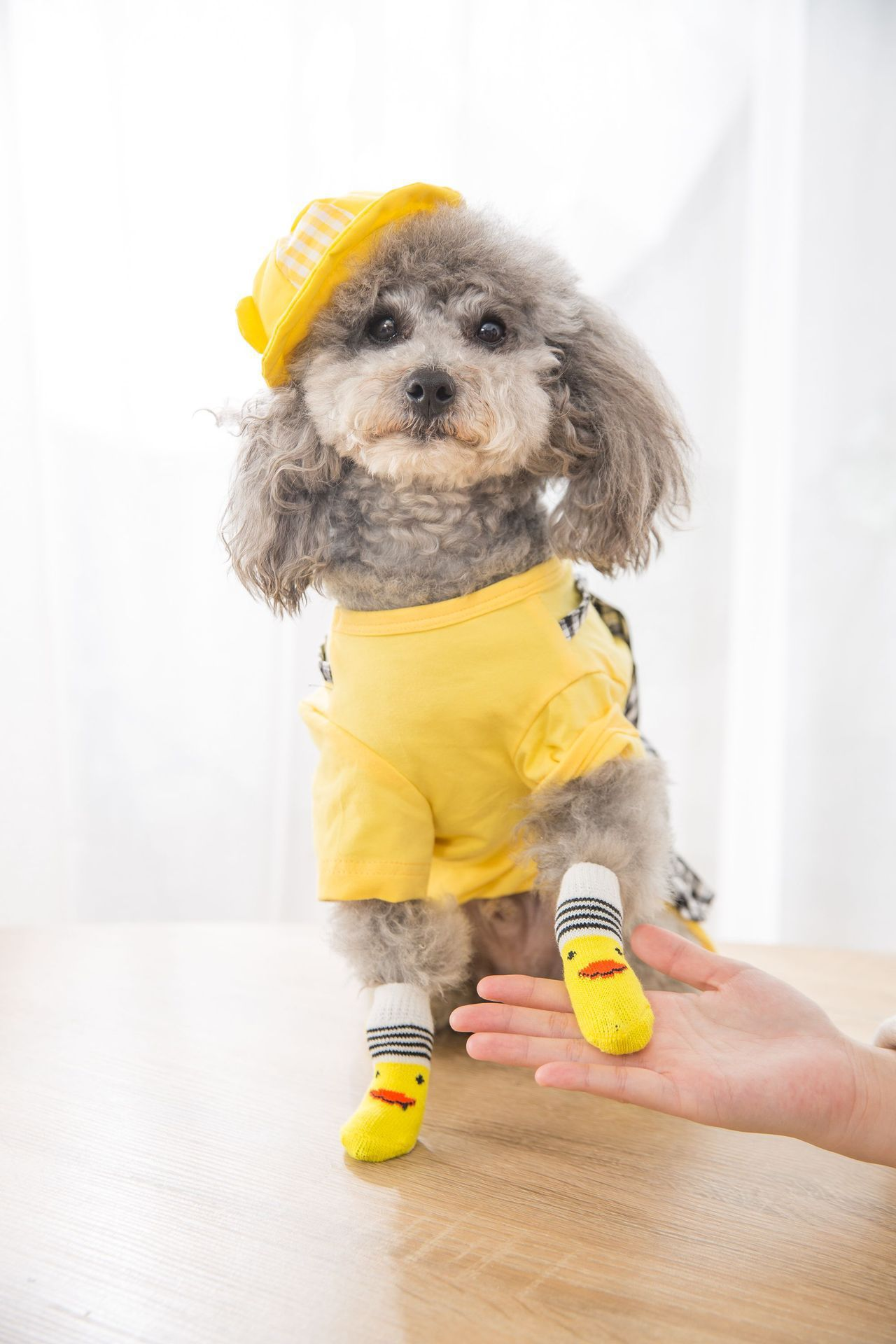 Knit Dog Socks with Grips for Wholesale