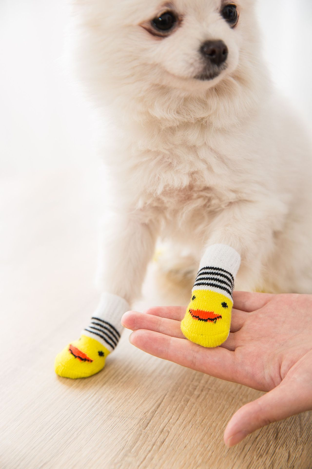 Knit Dog Socks with Grips for Wholesale