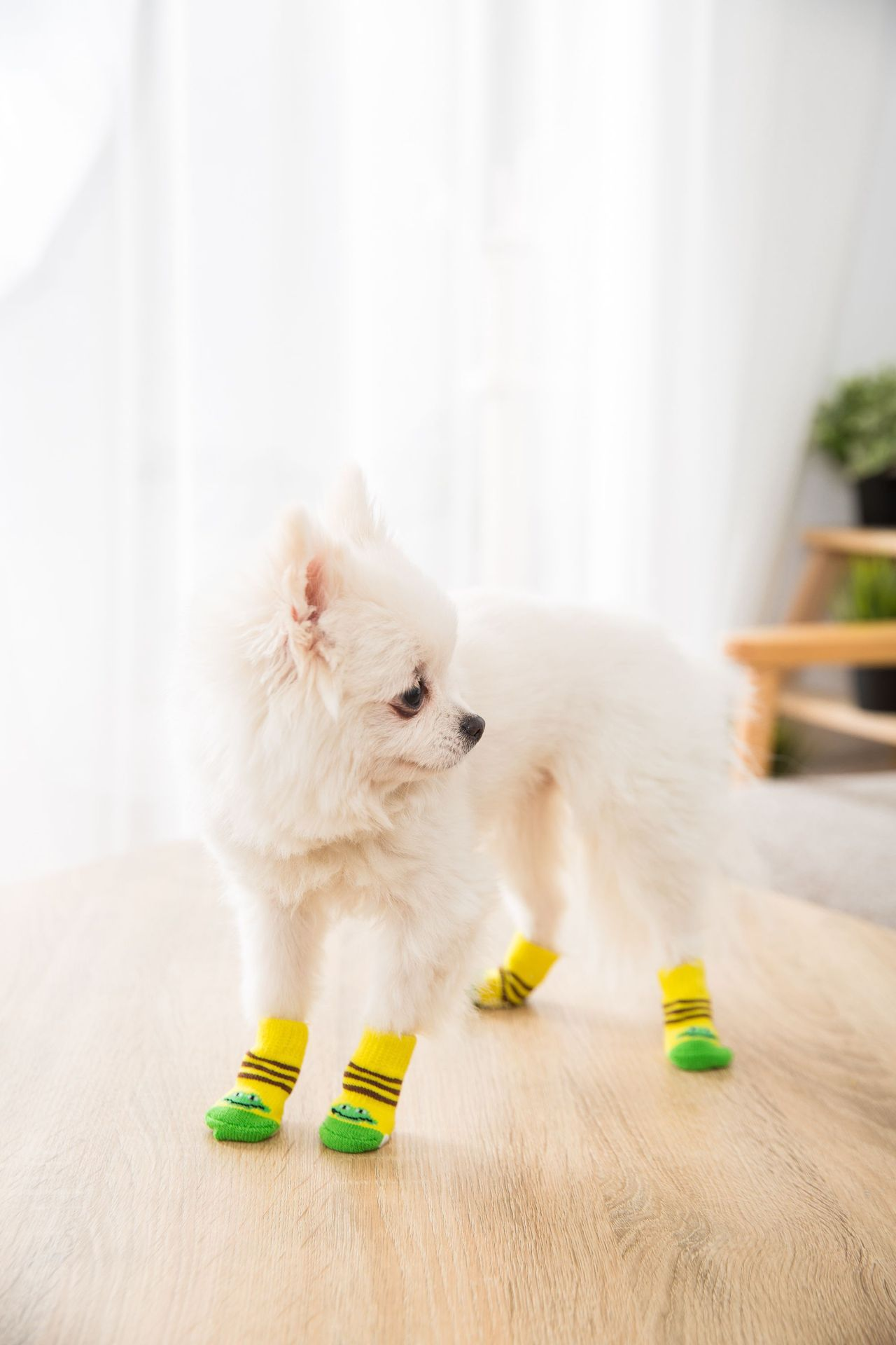 Knit Dog Socks with Grips for Wholesale