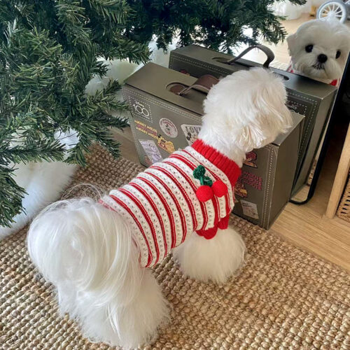 Knit Small Dog Sweaters for Wholesale