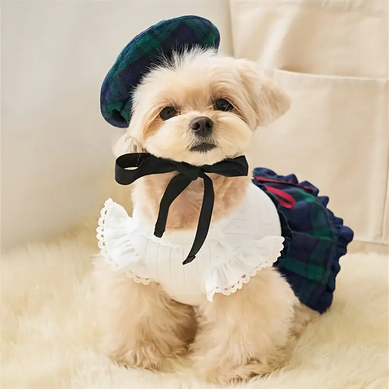 Extra Small Dog Dresses