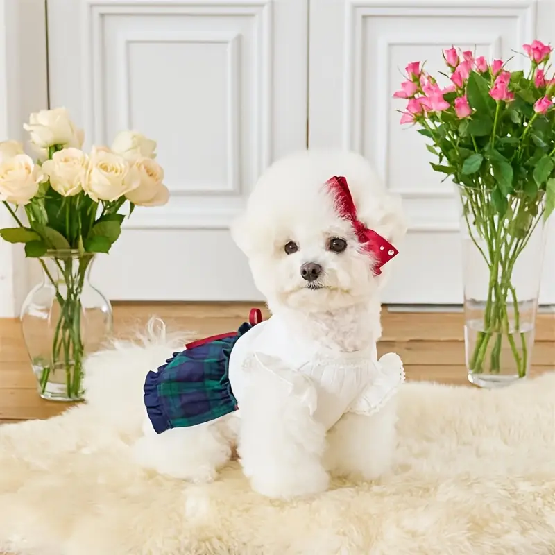 Extra Small Dog Dresses - Image 4