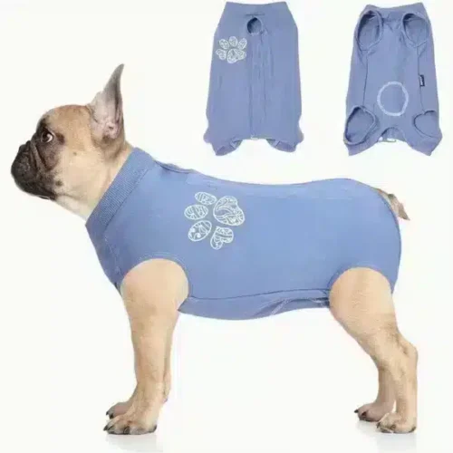 OEM Dog Recovery Suit Wholesale - Anti-Licking Surgical Onesie Post Surgery Blue L