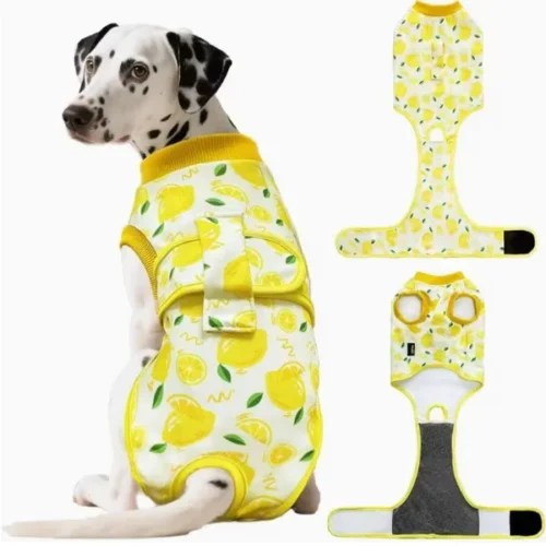 OEM Dog Surgery Recovery Suit Wholesale - Post-Op Lemon Onesie Anti-Lick