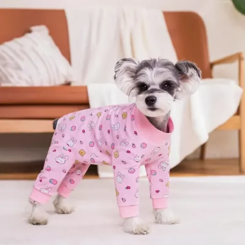 OEM Wholesale Dog Surgical Recovery Suit – Soft Adjustable Post-Surgery Bodysuit