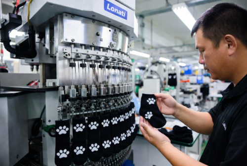 Personalized Dog Socks with Anti-Slip Silicone Pads