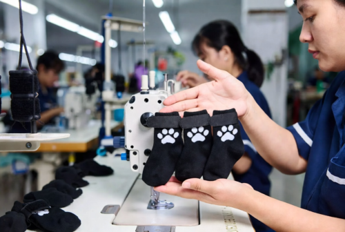 Personalized Dog Socks with Anti-Slip Silicone Pads