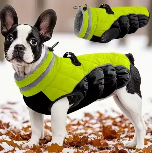 Quilted Thermal Dog Coat for Wholesale