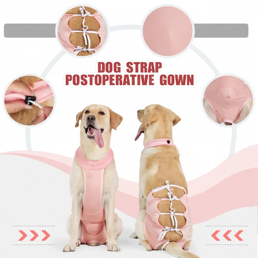 Recovery Shirt For Dogs