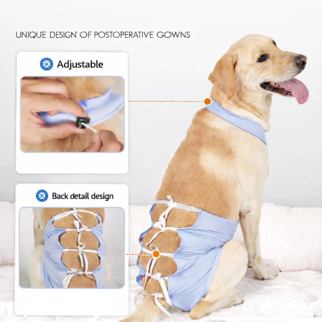 Recovery Shirt For Dogs - Image 3
