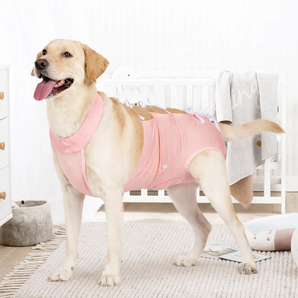 Recovery Shirt For Dogs