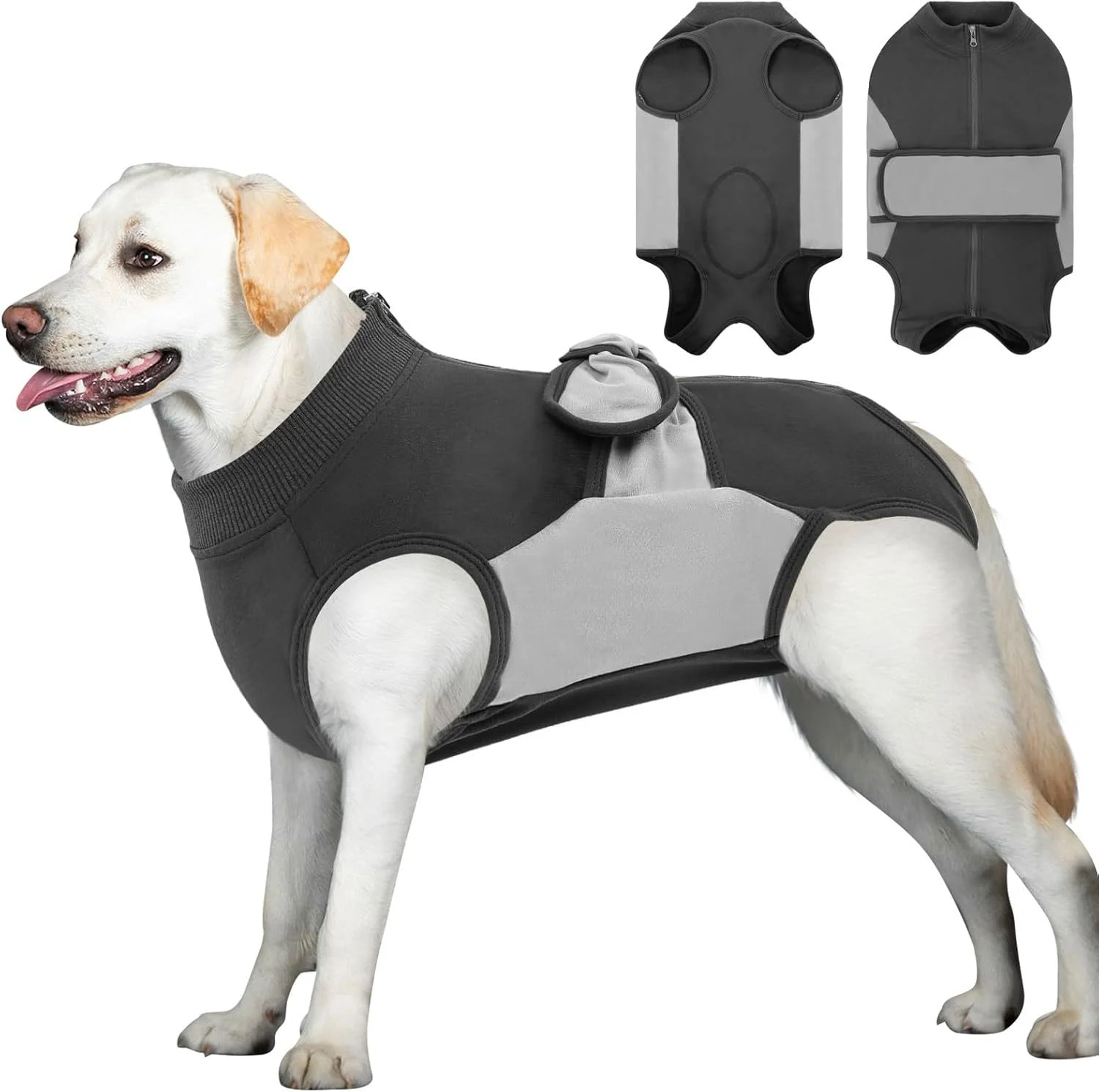 Recovery Suit For Dogs