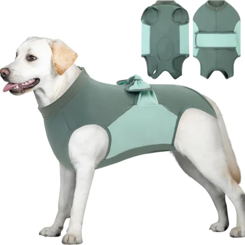 Recovery Suit For Dogs